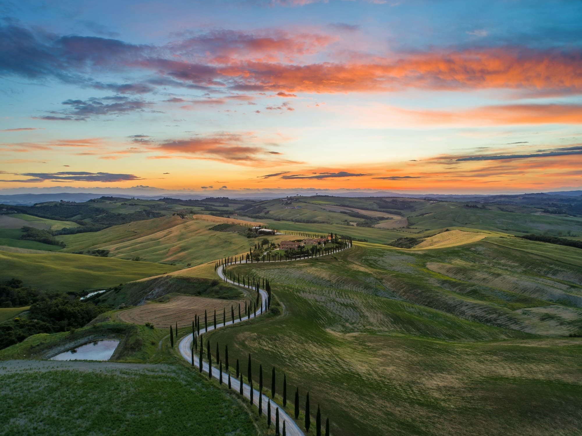 A cypress-lined road winding through the Tuscan countryside at golden hour
